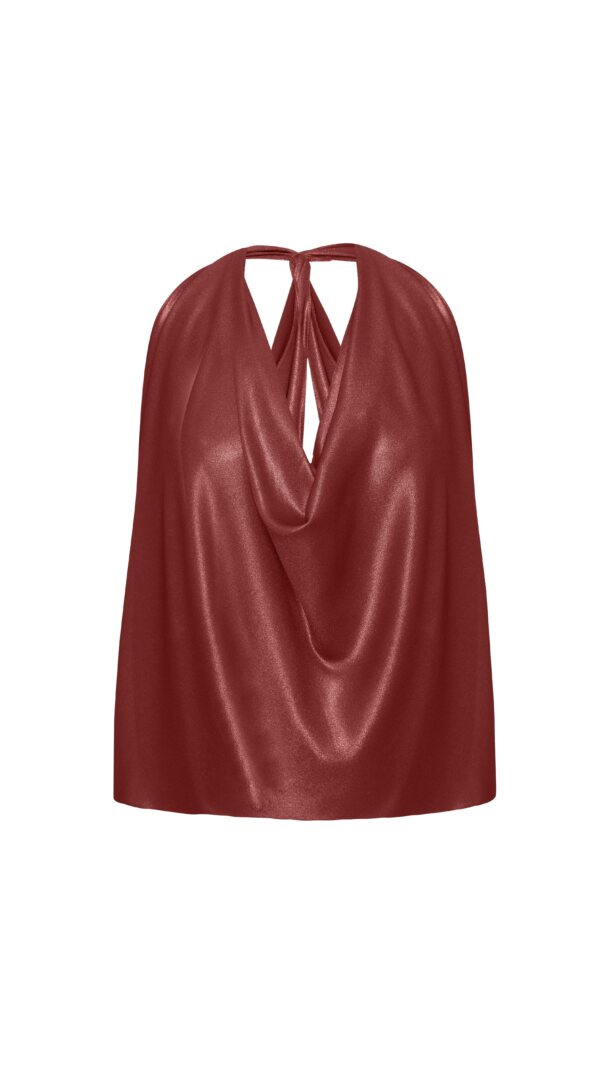 PASSION TOP CAMEL - imagine 2