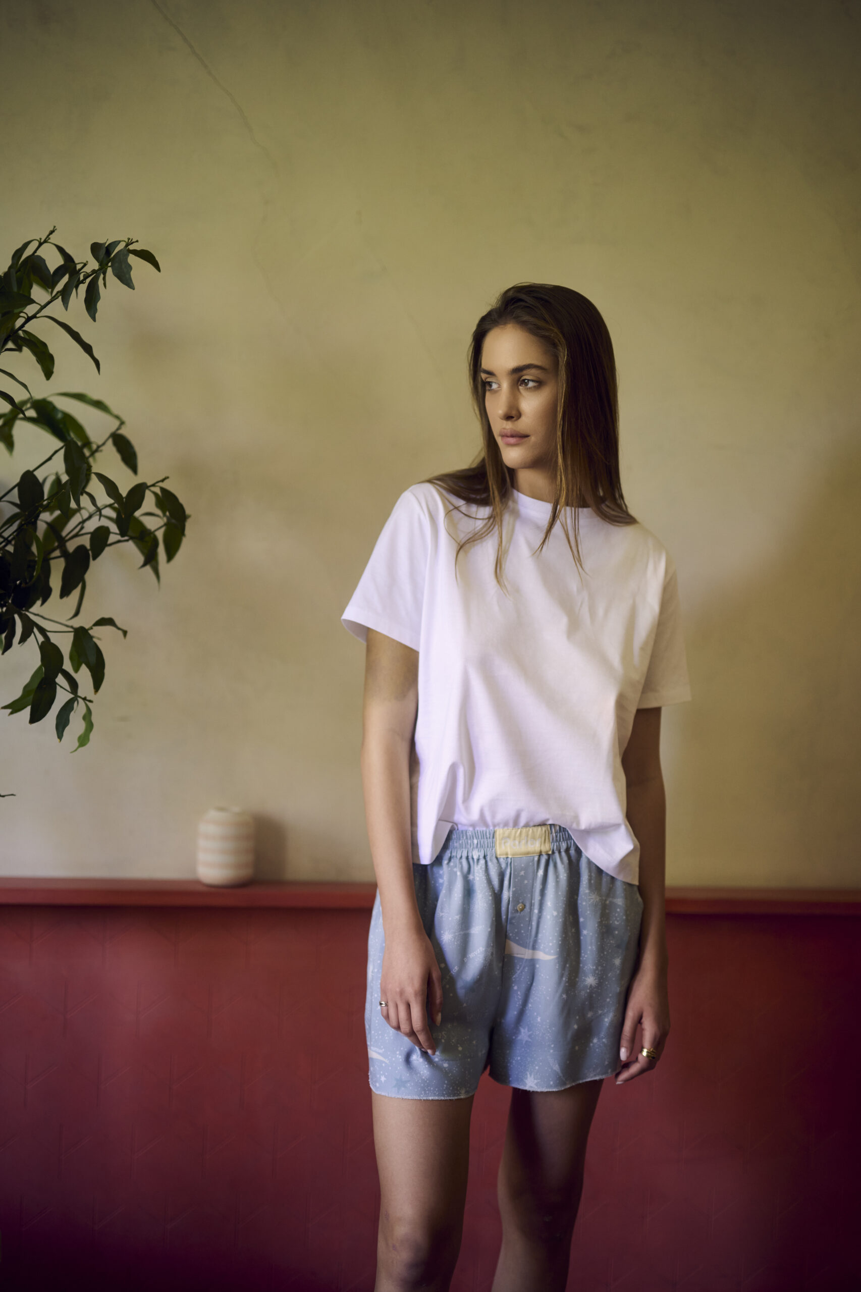 STARRY SHORTS - imagine 3