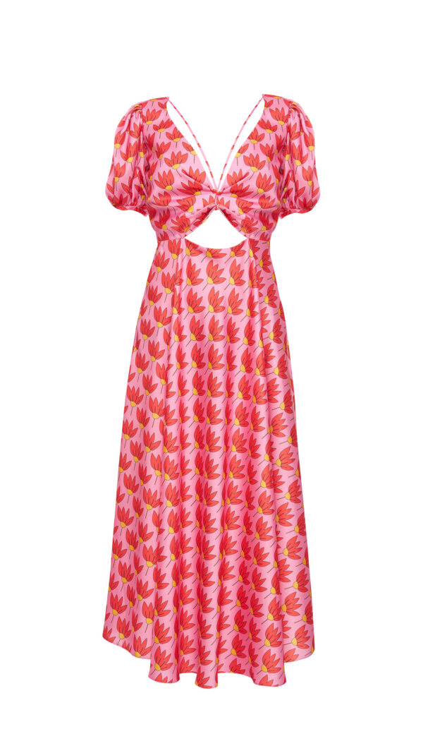 Blushing Dress - imagine 2